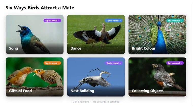 Insight Cards