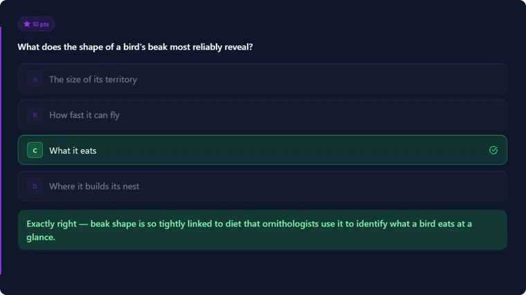 Quiz / MCQ
