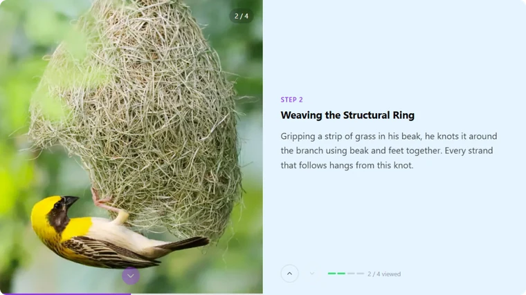 Sticky Scroll