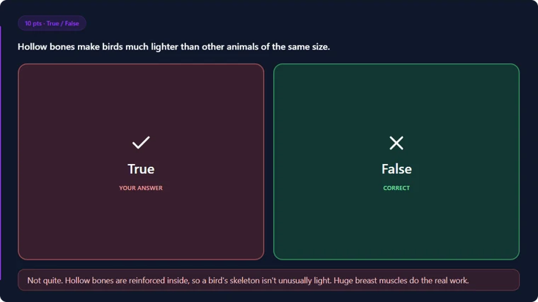 True / False